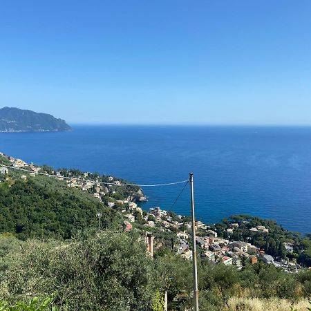 Casa Da Lira Lejlighed Poggio Favaro-San Bernardo Eksteriør billede